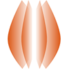 BAC_贝壳_Bac Token_BAC交易所